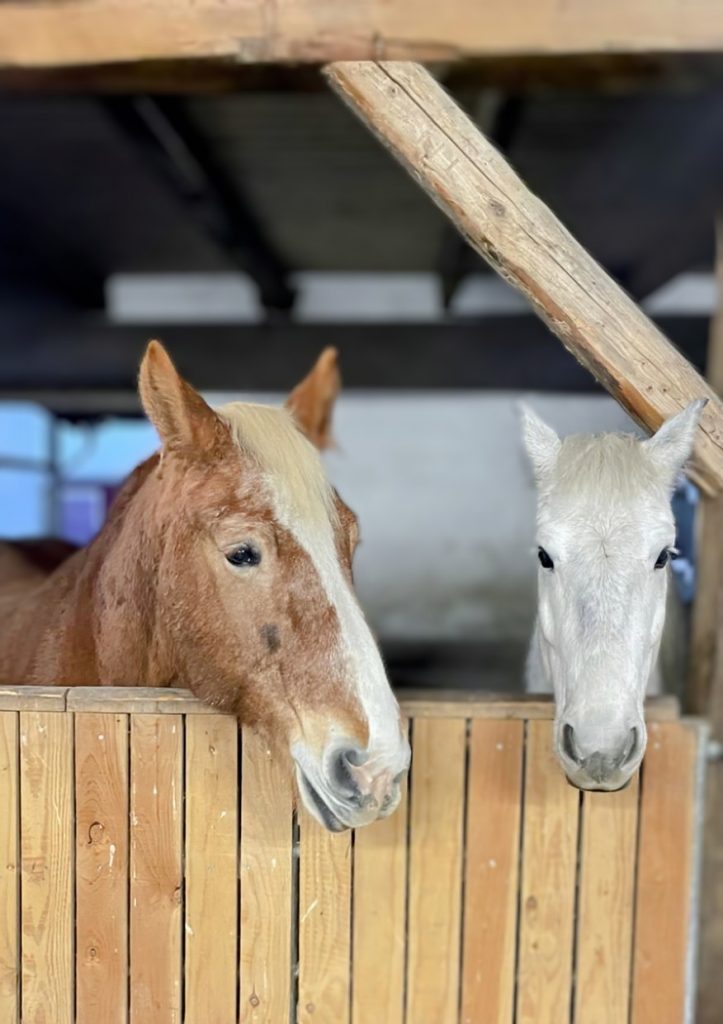 IMG-20251208-WA0007~3