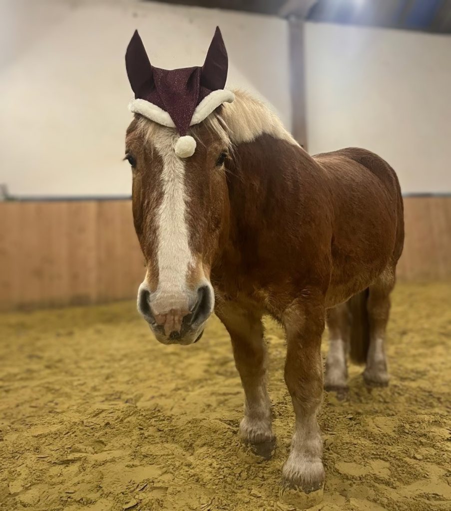 IMG-20251208-WA0129~2