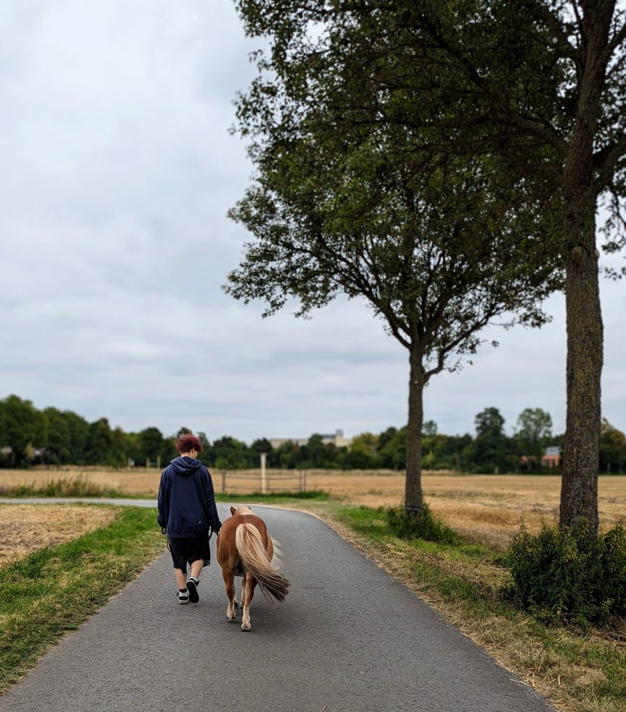 PXL_20250816_143003206.MP~2