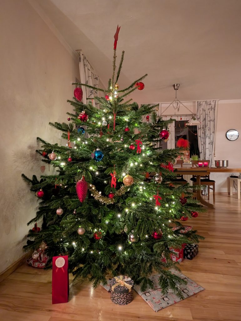 PXL_20251219_183301579.NIGHT~3